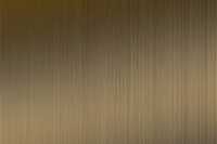 T Steel Gold HL